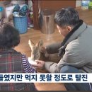 '눈물 뚝뚝' 먹이 찾아왔나…동물에게 더 혹독한 겨울 이미지