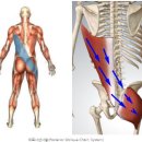 스테디 휘트니스(안중점) 이미지
