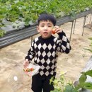 은비치농장 이미지