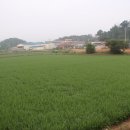 다락2리 이미지