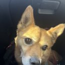 꽃길프로젝트 이미지