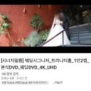 시너지(SYNERGY) | [W.1]가성비 본식 DVD 시너지필름 계약 후기(짝꿍코드 공유!)