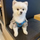 도예 A반 이미지