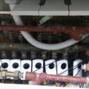 삼성장미 이미지