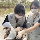 인천반려동물농장 이미지