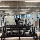 웨이브핏 이미지