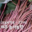 유정농원 | [오늘N 방송] 여주 능서농원 고구마순감자탕 한상 잘 차렸습니다 위치 및 메뉴 정보!