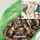 춤으로 여는 세상 | 석화제철 여수굴 제대로 즐기기 임프레시 여수 석화굴 5kg+1kg 산지직송 후기