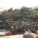 대화공원 이미지