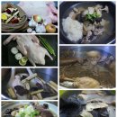 싱싱오리 이미지