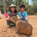 (주)한국트라 | 푸꾸옥 사파리 입장권 주트램 없이 사면 개고생, 초3 쌍둥이 2시간 반 핵심 투어 코스