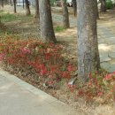 백운동 행정복지센터 이미지