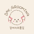 그루밍데이 이미지