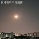 연세영피부과의원 네이버블로그
