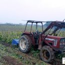 검산농장 이미지