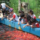 물고기마을 이미지