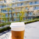 에델리아(edelia)