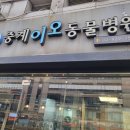 중계이오동물병원 이미지