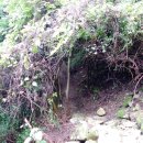 상관 공기마을 편백숲 이미지