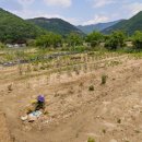 달콤하신협동조합 이미지