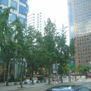 롯데1번가 이미지