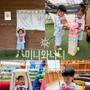 수정농장 | 이천 실내 아이랑 가볼만한 곳 피크니코 딸기농장 체험 할인 꿀팁