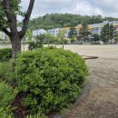 고산역 4번 출구 뒤 이미지