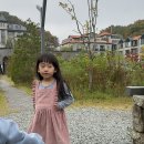 엘로디니니 네이버블로그