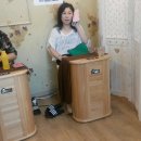 여우美