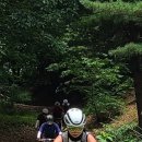 동막골 - 광산구 월곡중앙로 31 | 동막골