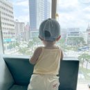 시우옷장