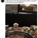 뽀끌래미용실 | [강서] 까끌래뽀끌래! 해피니언 우장산역 마음점 히피펌 후기