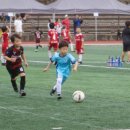 염기훈주니어축구교실