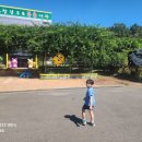 창녕우포곤충나라 이미지