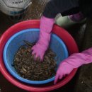 고향가마솥추어탕 이미지