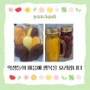 한국 푸디 테라피 이미지