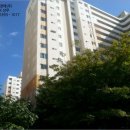 백양대로 이미지