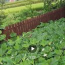 이편한희망부동산중개 이미지