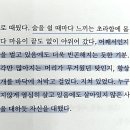 온새미로 이미지