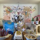 우다다애견 이미지