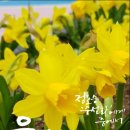 고운글