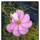 여주아이파크공인중개사사무소 이미지