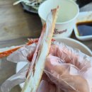 대포크랩 | 속초] 대포항 바다뷰 대게/해산물 맛집 추천 "대포대게회직판장 & 대포크랩" 방문 후기 (주차, 메뉴 등)