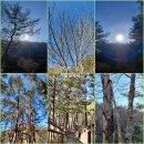 촌부의 단상-게으름의 끝은 어디까지일까? 이미지