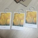 수색이마트안경 | 4/29 - 6/23