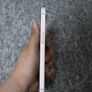 11650-17-16-1 | 아이폰17e 소프트핑크 색상,스펙, 케이스 후기, 아이폰16프로와 비교