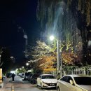 TNB 피트니스 센터 | 대구 대봉동 로컬 대방어 맛집 [구공회]