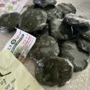 아침 점심 간식 식사 대용 한 끼 추천 새섬해풍쑥 조도 쑥떡 쑥개떡 쑥인절미 직접 먹어본 후기