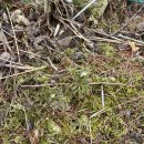 다영농장 이미지