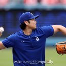 토미코리아 이미지